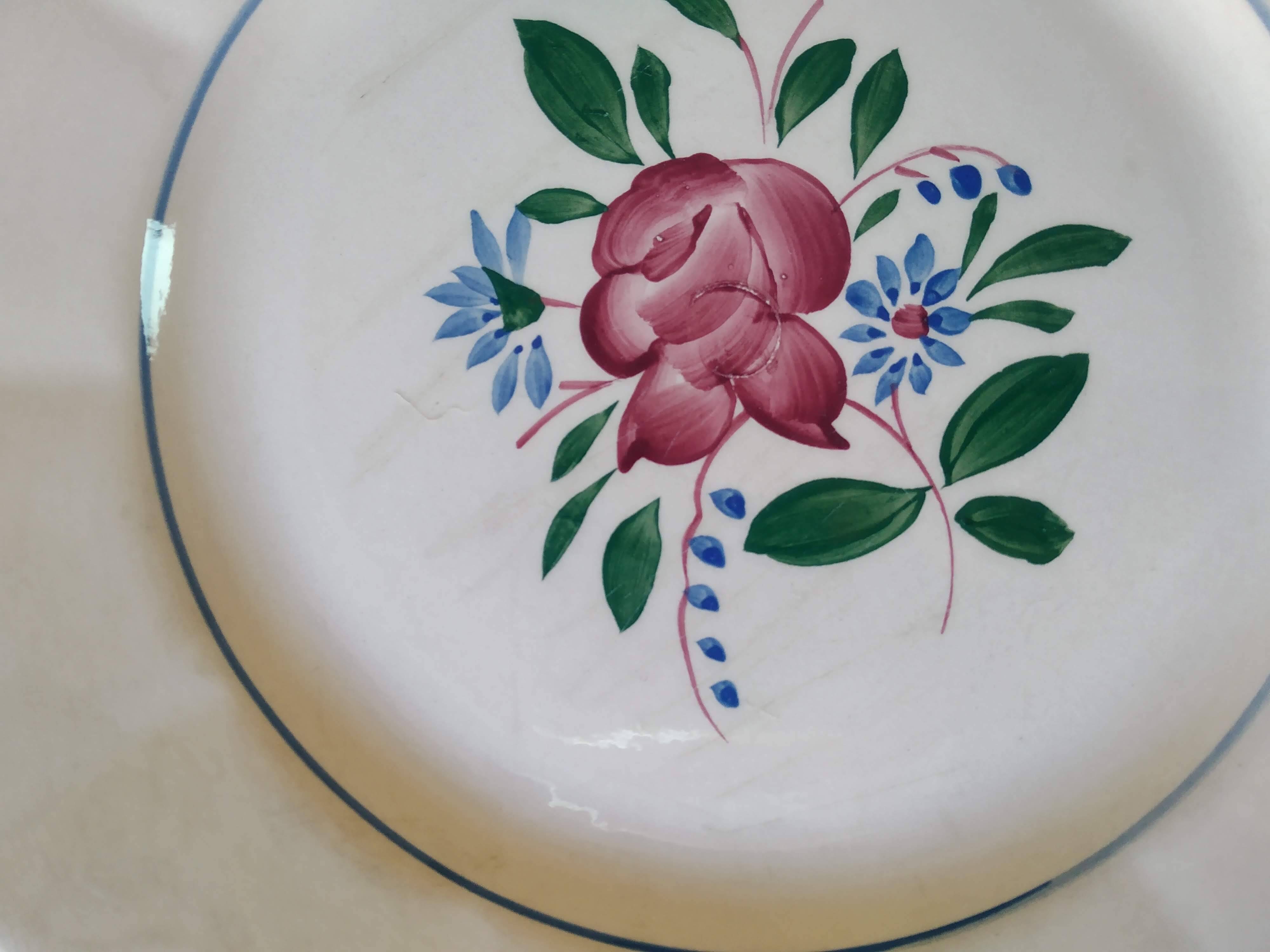 6 Digoin Hand-Painted Flower Plates
