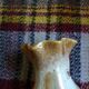 Ceramic vase Bay Keramik West Germany