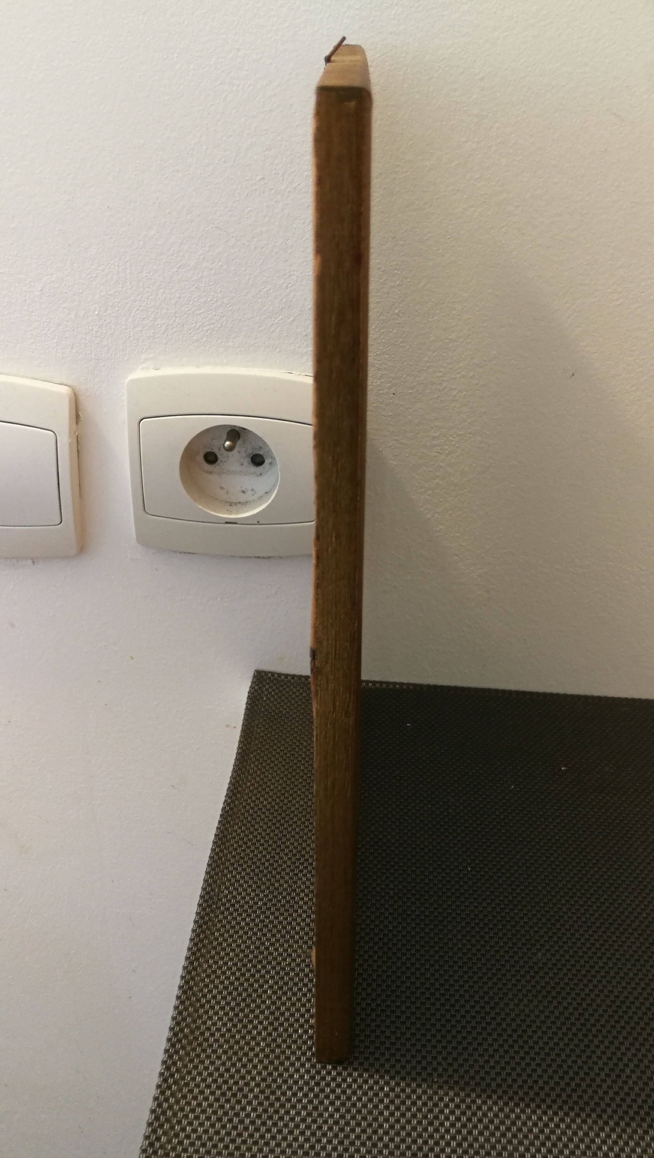 Botanical frame p. j redouté pinx imprimerie de rémond