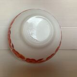 Red flowers bowl lotus Arcopal