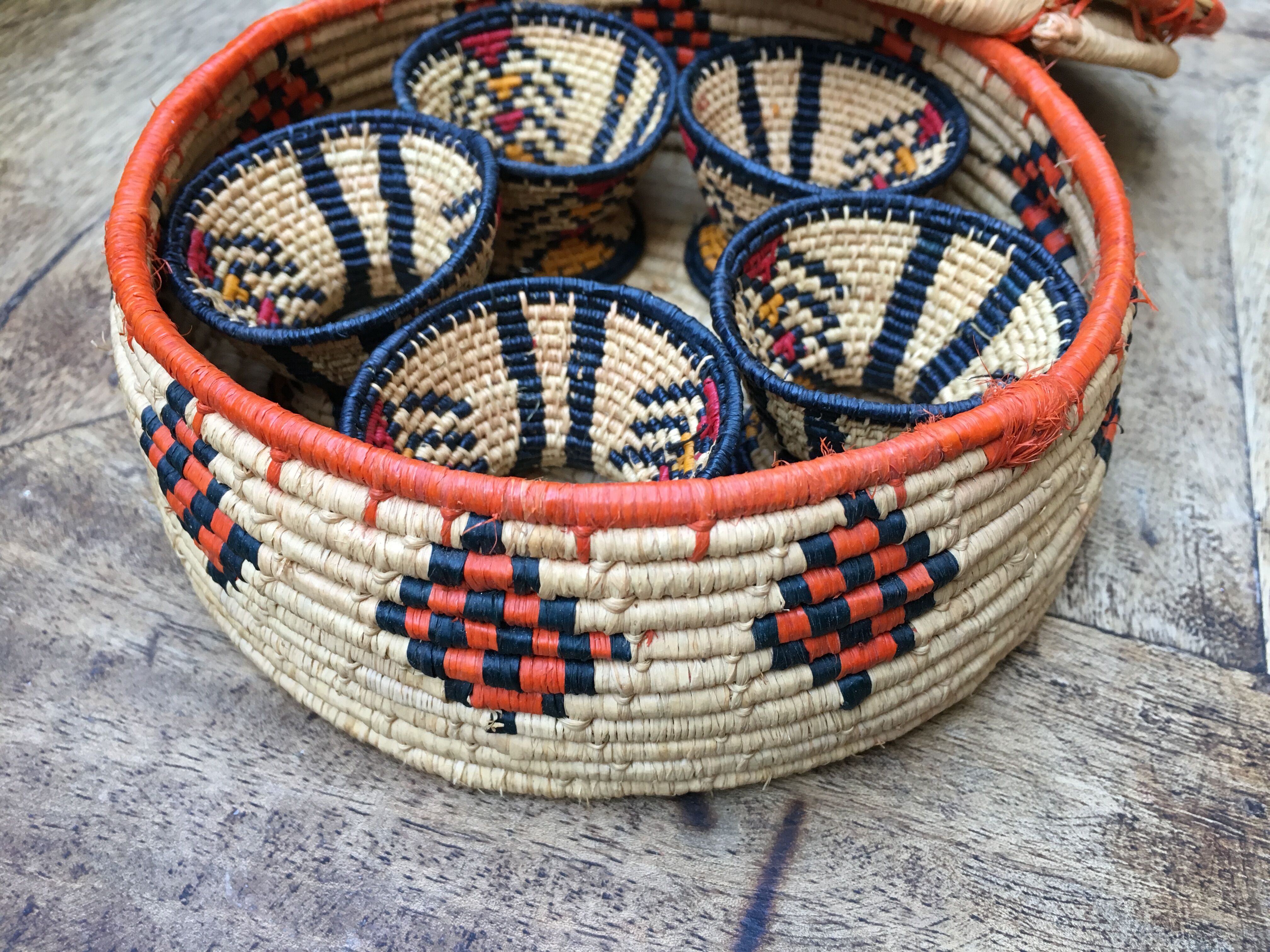 African lidbox and raffia cockroaches
