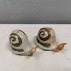 Ceramic snails as salt and pepper shakers, Denmark, 1970s-1980s