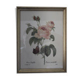 Botanical board framed PJ Dreaded