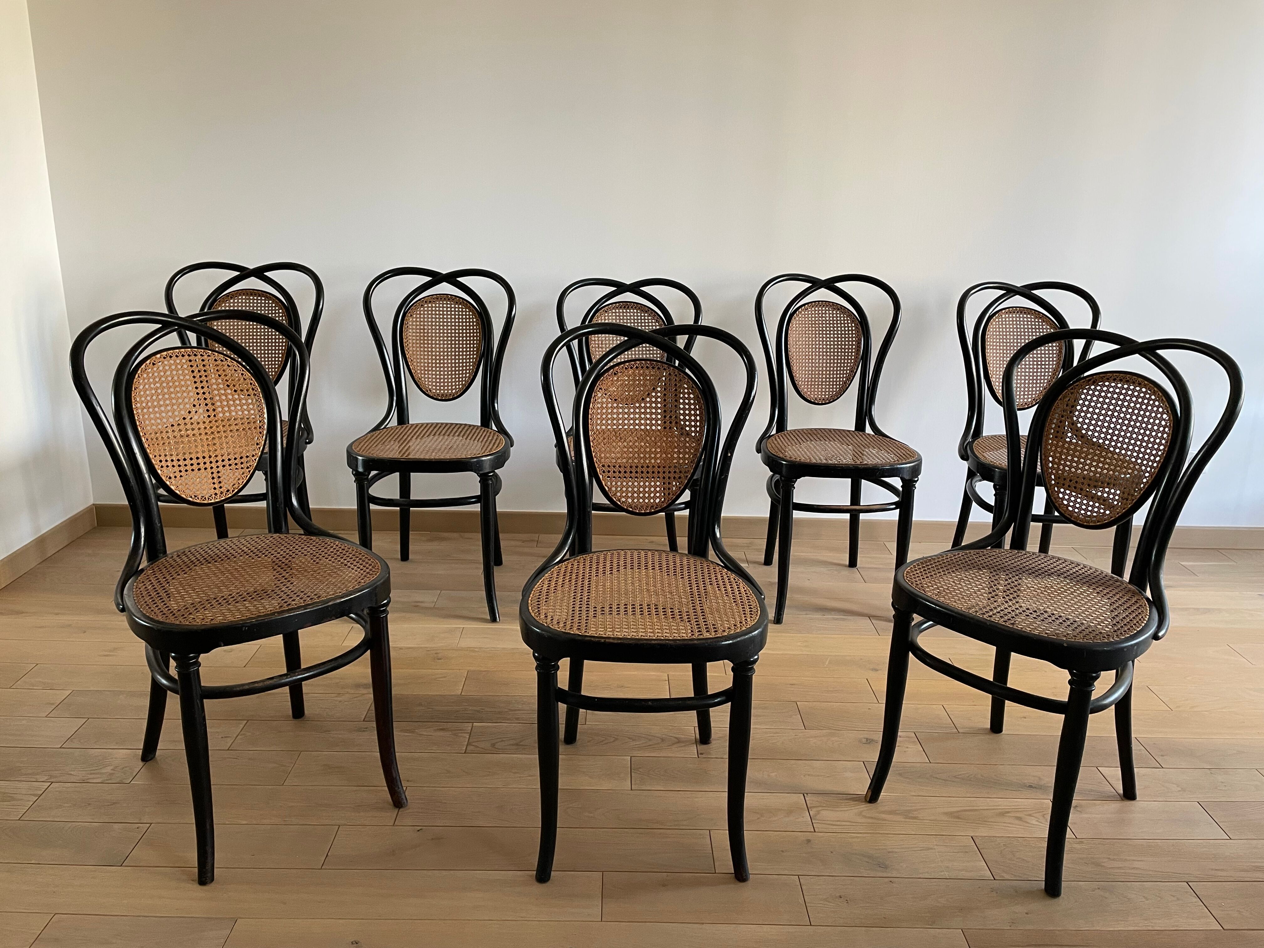 Series of 8 Viennese chairs N.33 by J&J Kohn, 1900