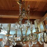 Grape variety chandelier