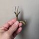 12 bronze and brass knife rests, African art, gazelles