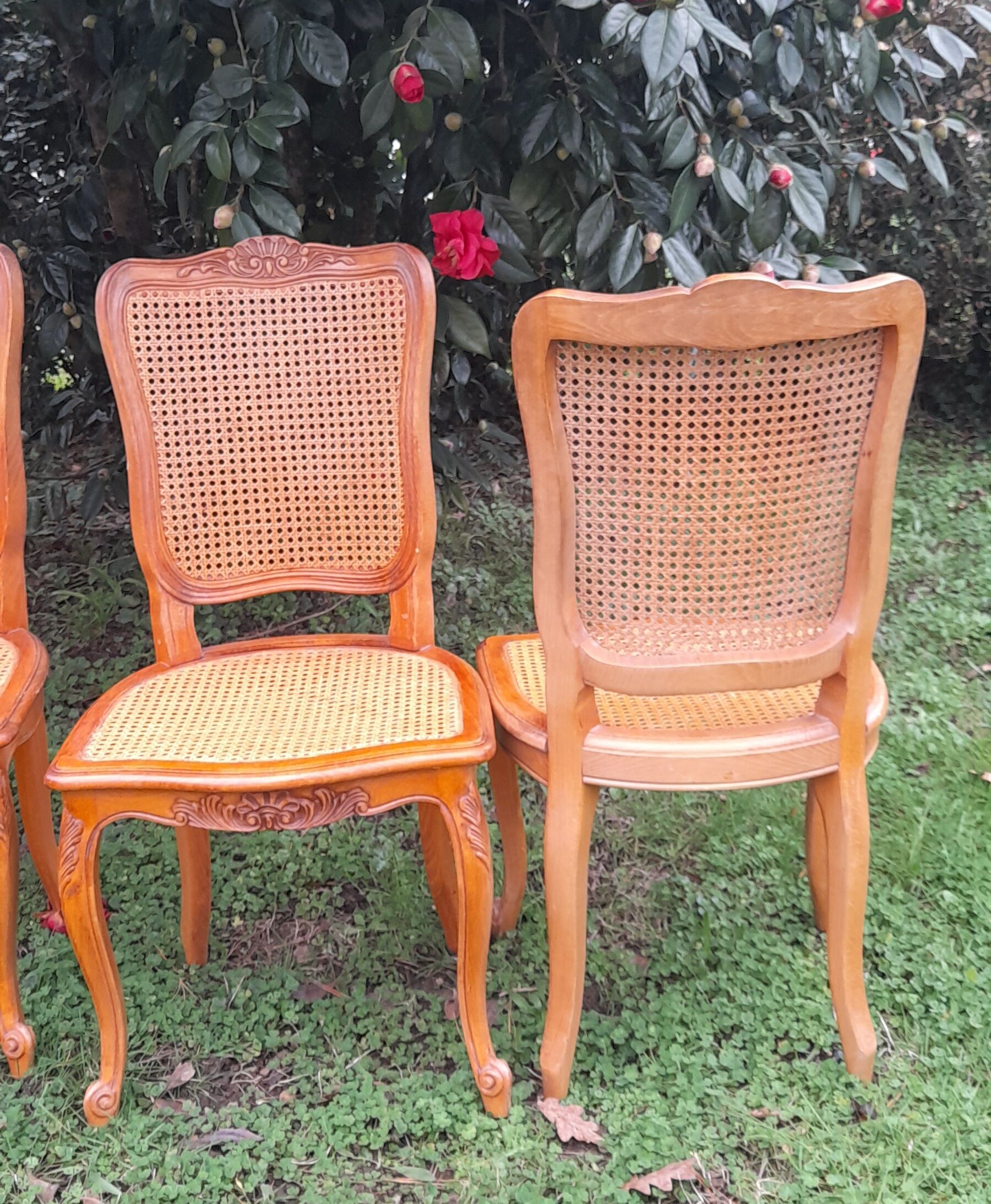 4 chairs channes Louis XV style 50s