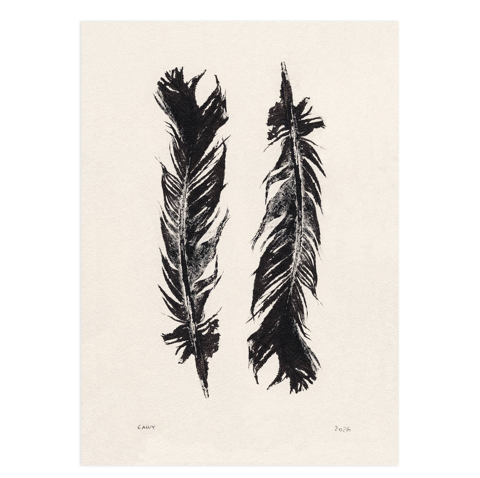 Tirage d'art Plumes Noires 50x70 par  Eawy