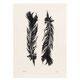 Tirage d'art Plumes Noires 50x70 par  Eawy