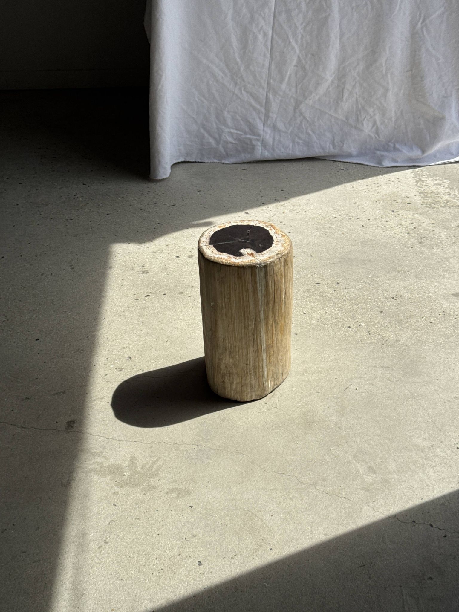 Petrified wood side table, white bark