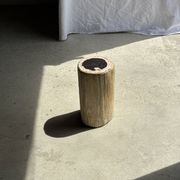 Petrified wood side table, white bark