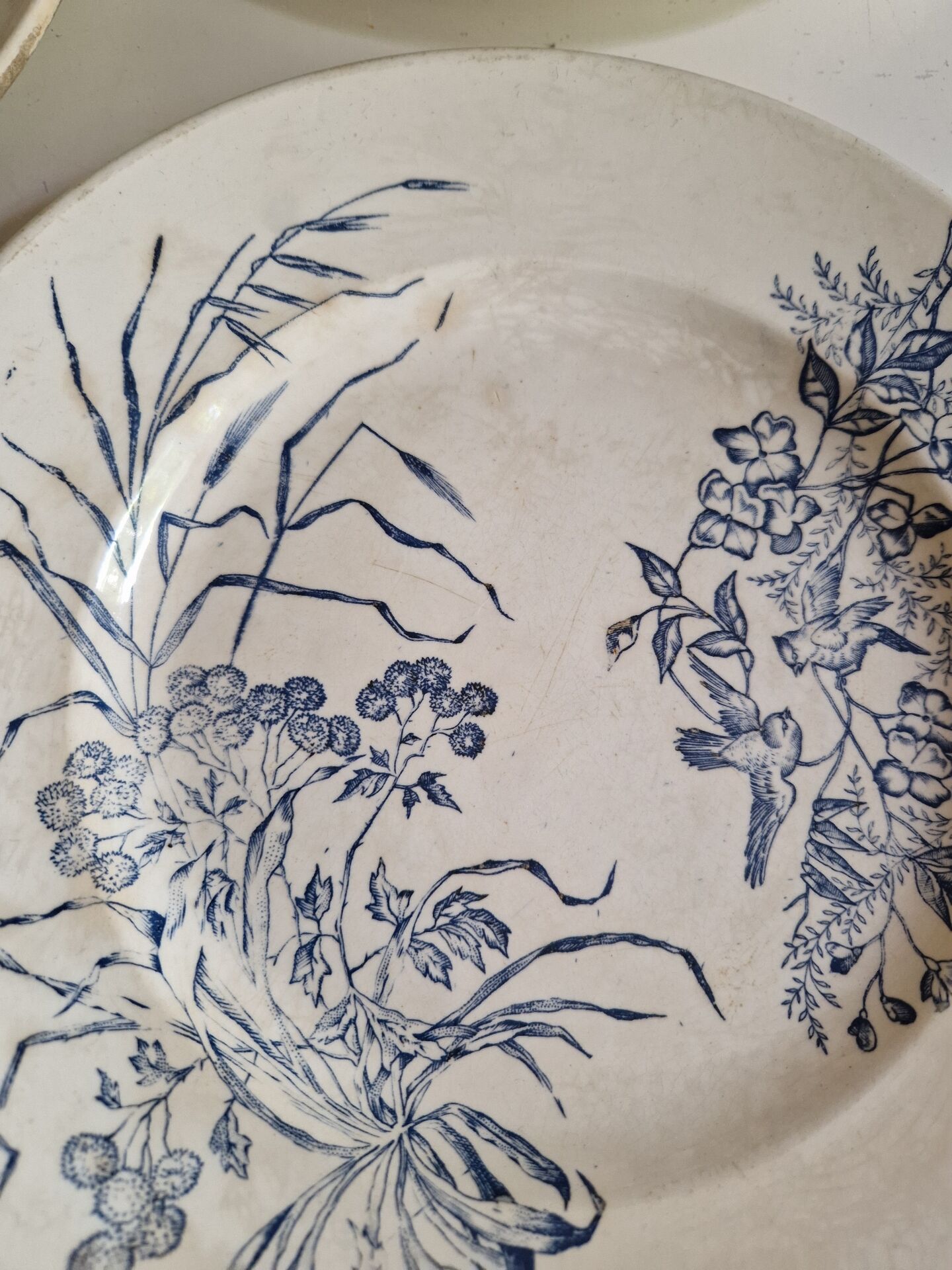 Lot De 9 Assiettes Plates Terre De Fer