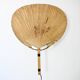 Pair of wall sconces "Uchiwa" by Ingo Maurer for M Design, 1960s