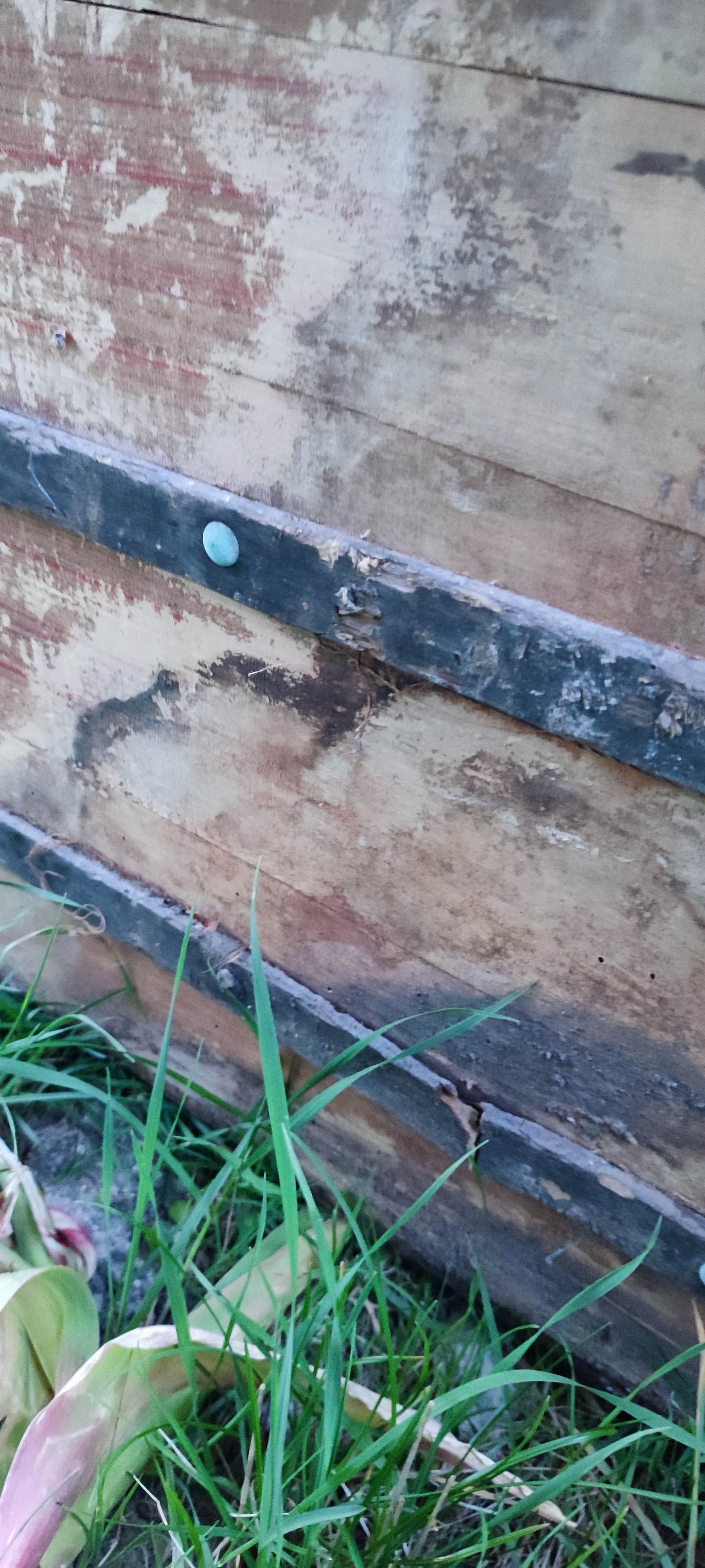 Former travel trunk Vacheron Fils Troyes