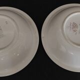 Pair of Digoin earthenware bowls with cliff decoration