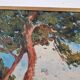 Elie Déchelle (1874-1937) - Oil on canvas - Landscape in Corsica - Signed