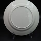 Plat motif moulin bleu