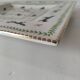Large square dish RB Bernarda with animal decoration.