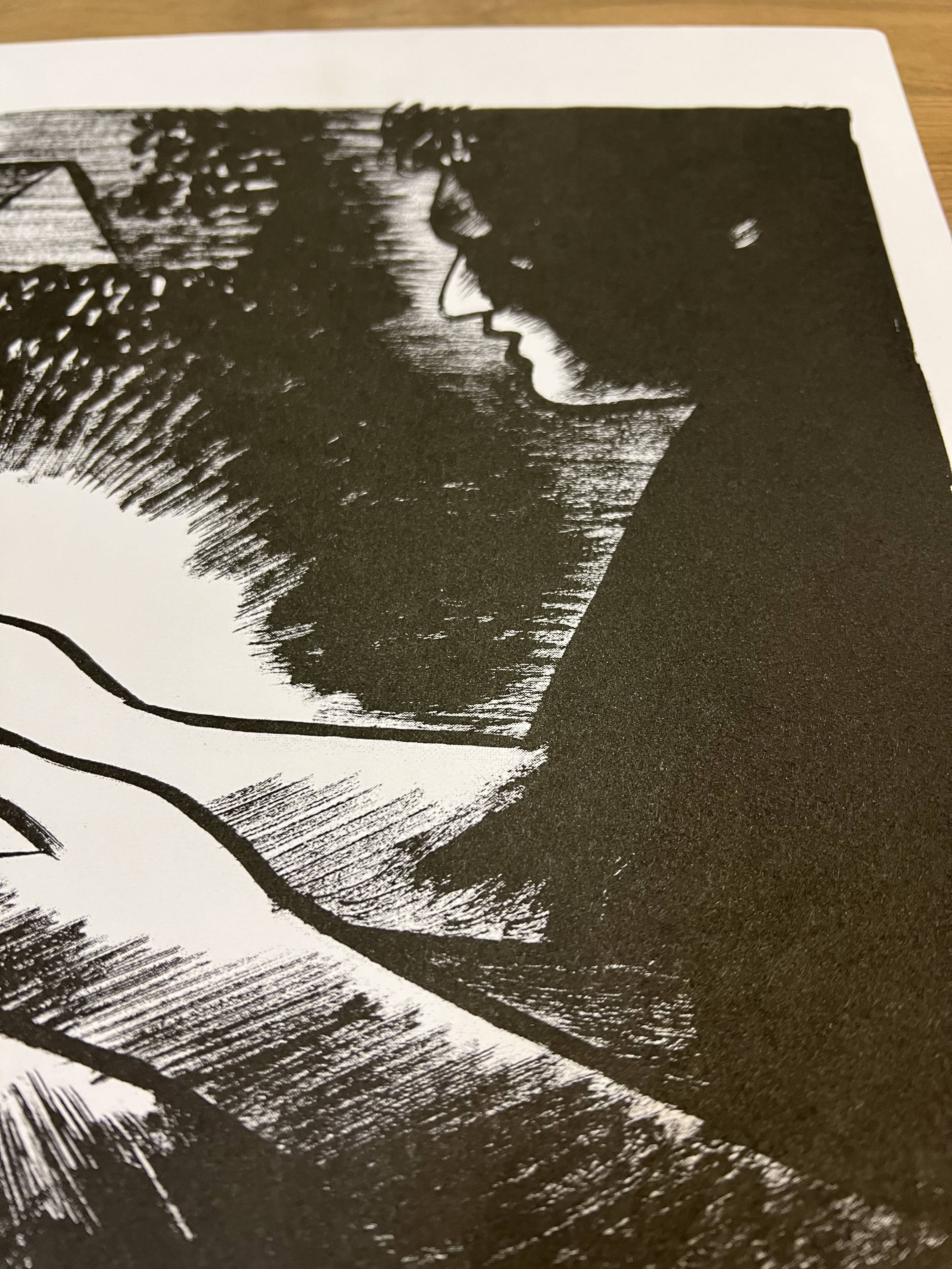"Luminous" illustration