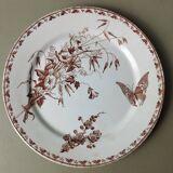 "Carmen" - Set of flat plates Ø 22.5cm ironstone Sarreguemines U&C