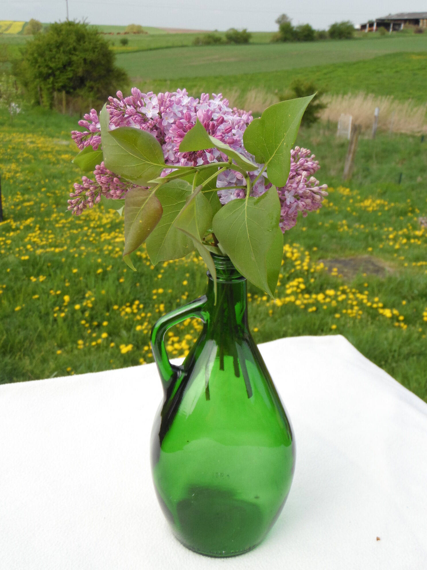 US Half Gallon glass bottle