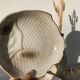 6 flat plates fish in beige ceramic Salins les bains