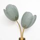 Pair of Tulips Murano Glass and Brass Sconces
