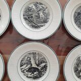 Série de 10 assiettes parlantes sur le thème de la chasse, faience fine, Digoin Sarreguemines
