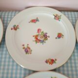 6 porcelain plates