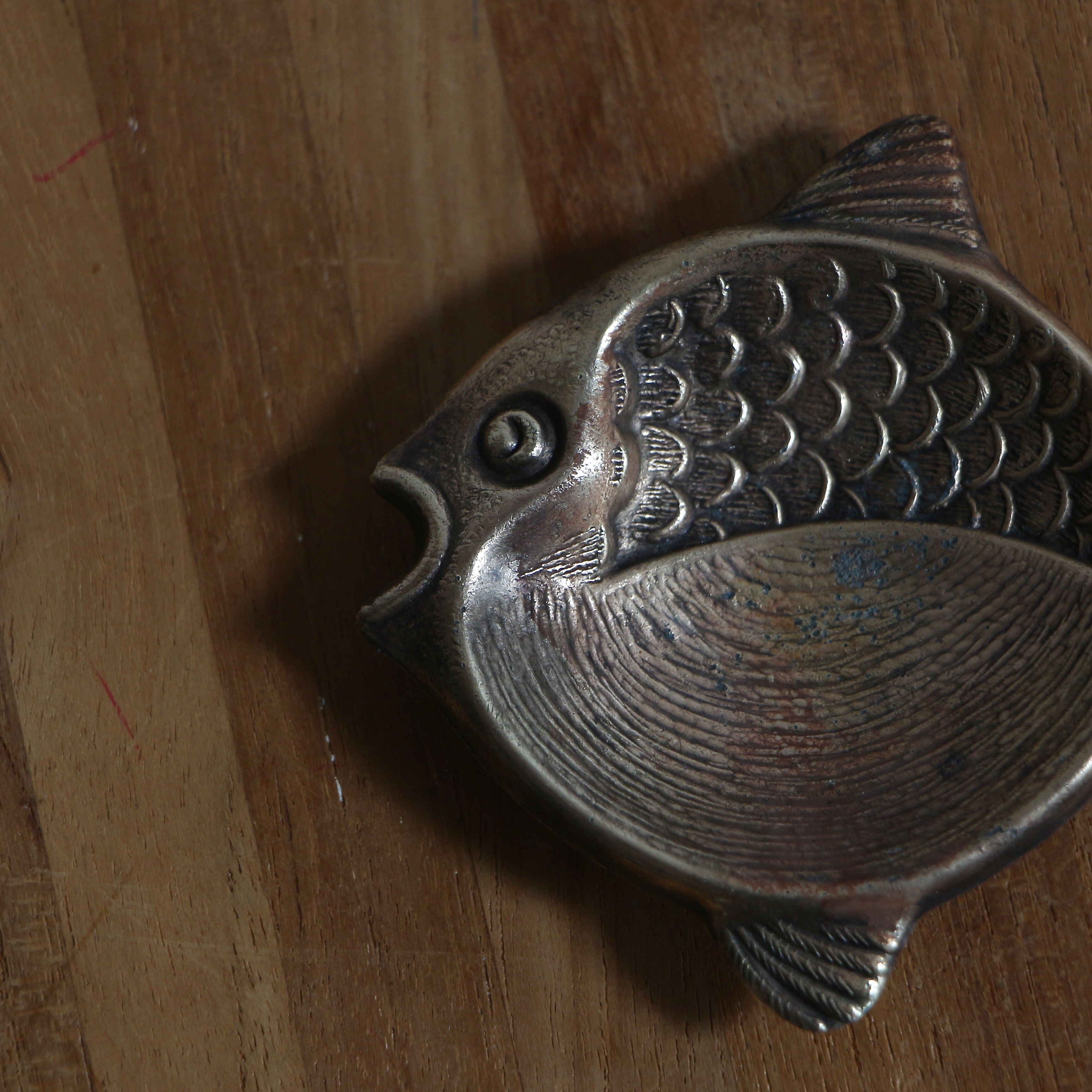 Brass fish