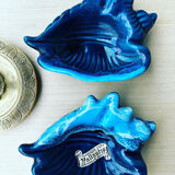 Empty pocket vallauris shells