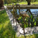 Couple of pink flamingos