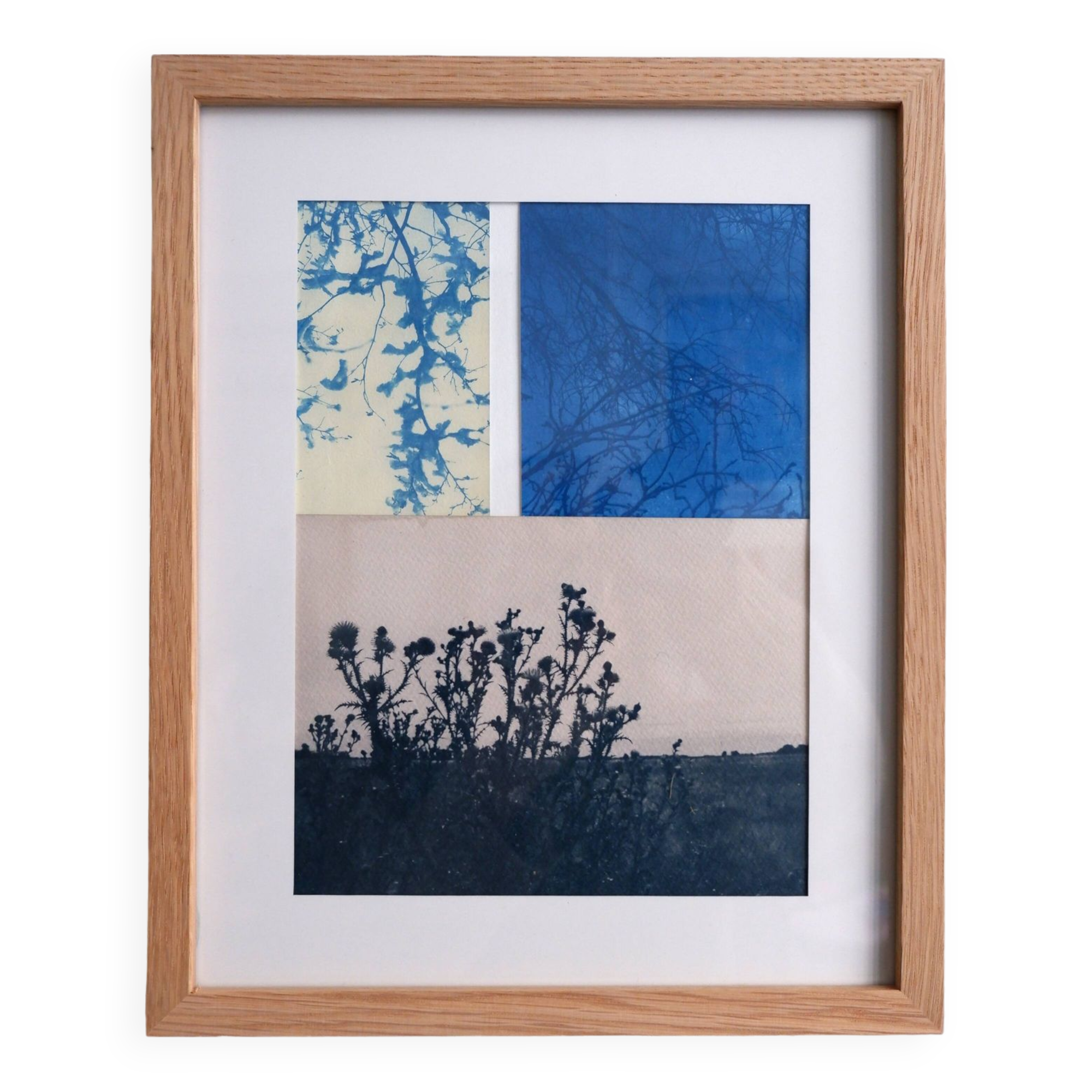 Cyanotype photography Landscape