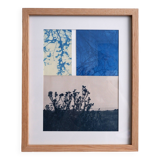 Cyanotype Landscape Photography