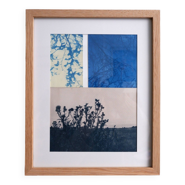 Photographie cyanotype Paysage