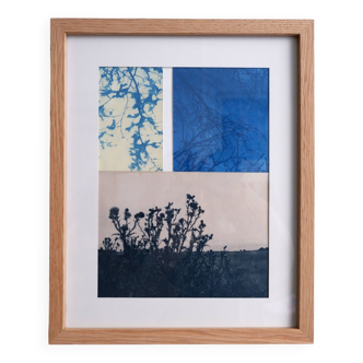 Photographie cyanotype Paysage