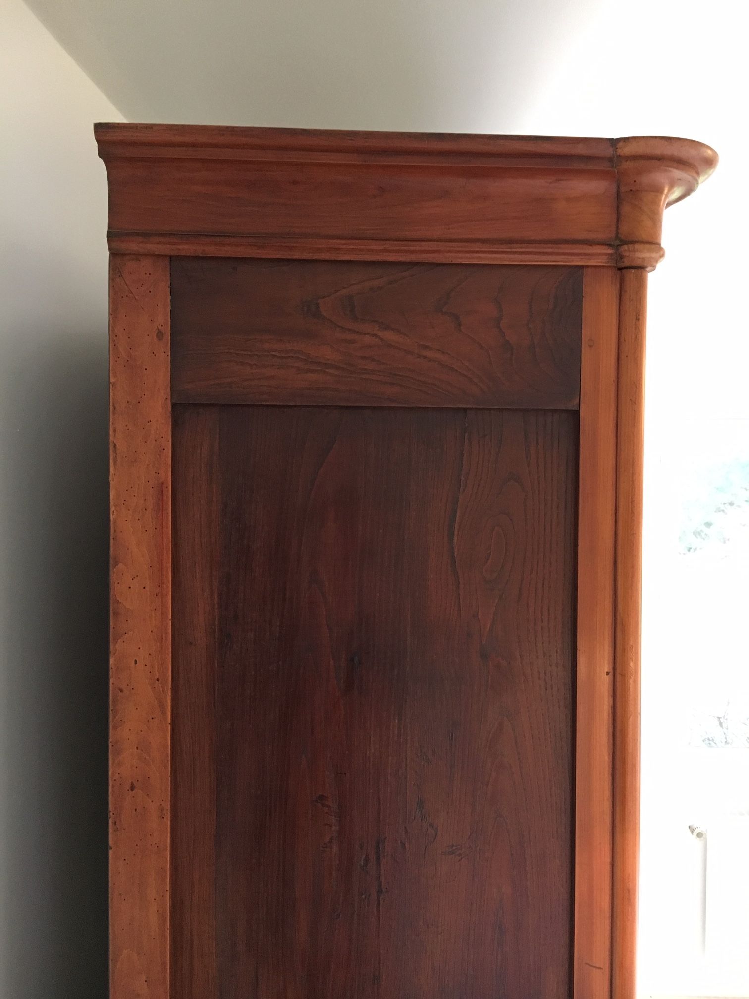 Mid-19th century cabinet of ferns in cherry and chestnut