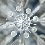 Lustre Dandelion Spoutnik par Emil Stejnar Autriche 1955