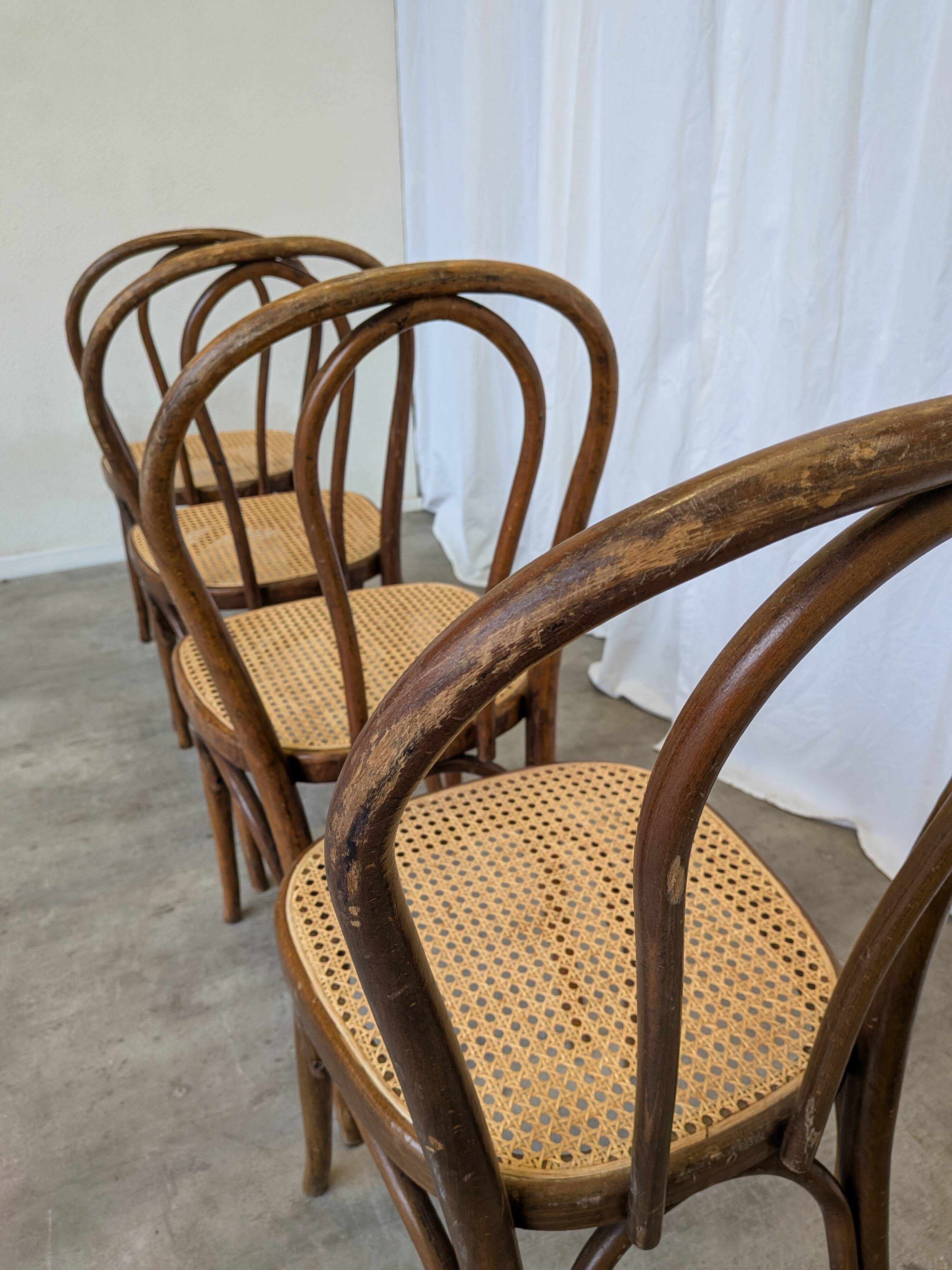 Set of 4 Vintage Thonet Style Dining Chairs: Bentwood Cane Seat, 1970s Bist