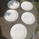 5 Limoges porcelain dinner plates stamped Limoges France