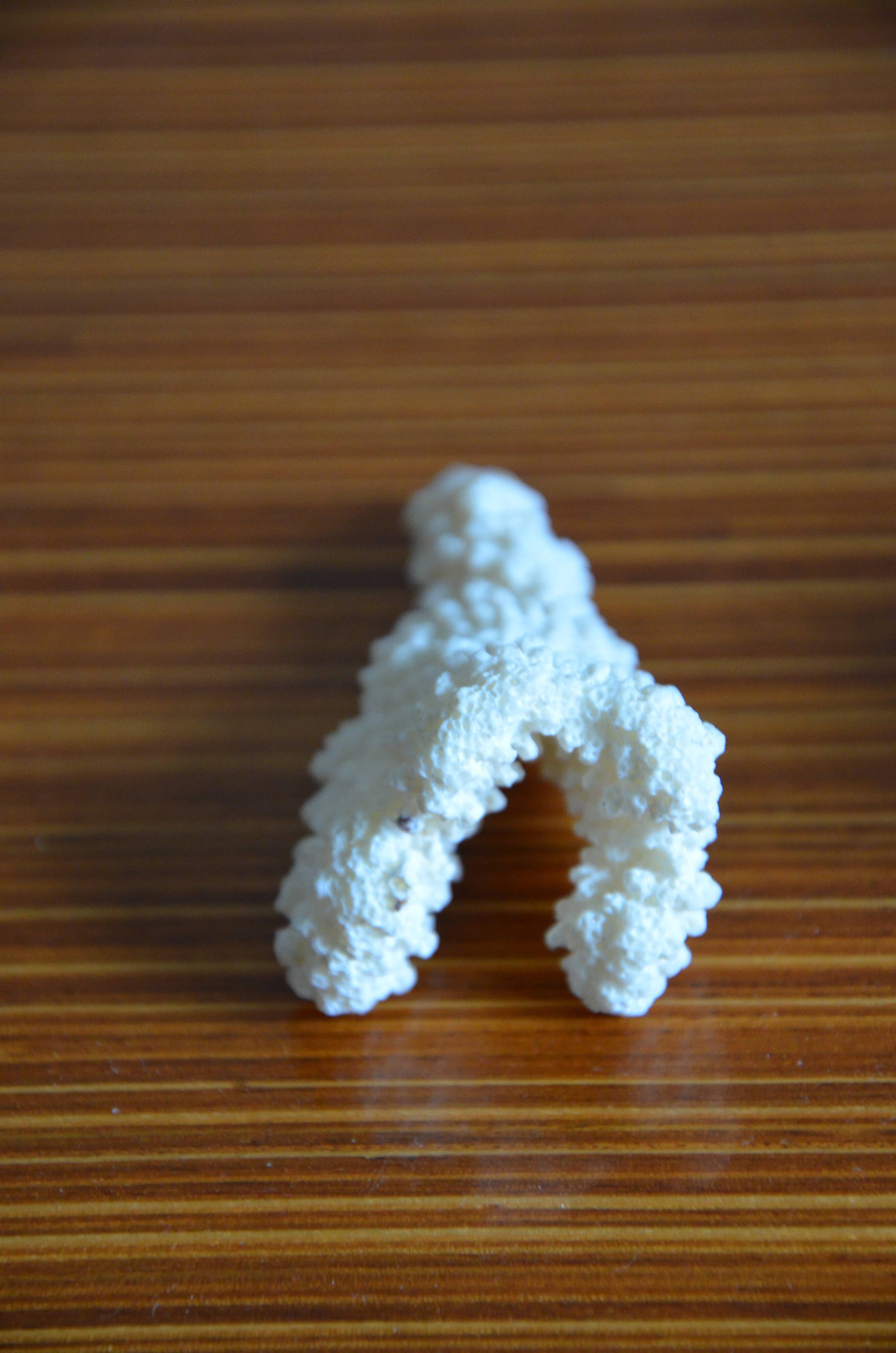 Lot of 3 pieces of coral