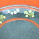 Bowl / Ashtray Earthenware with glaze (Savoie)