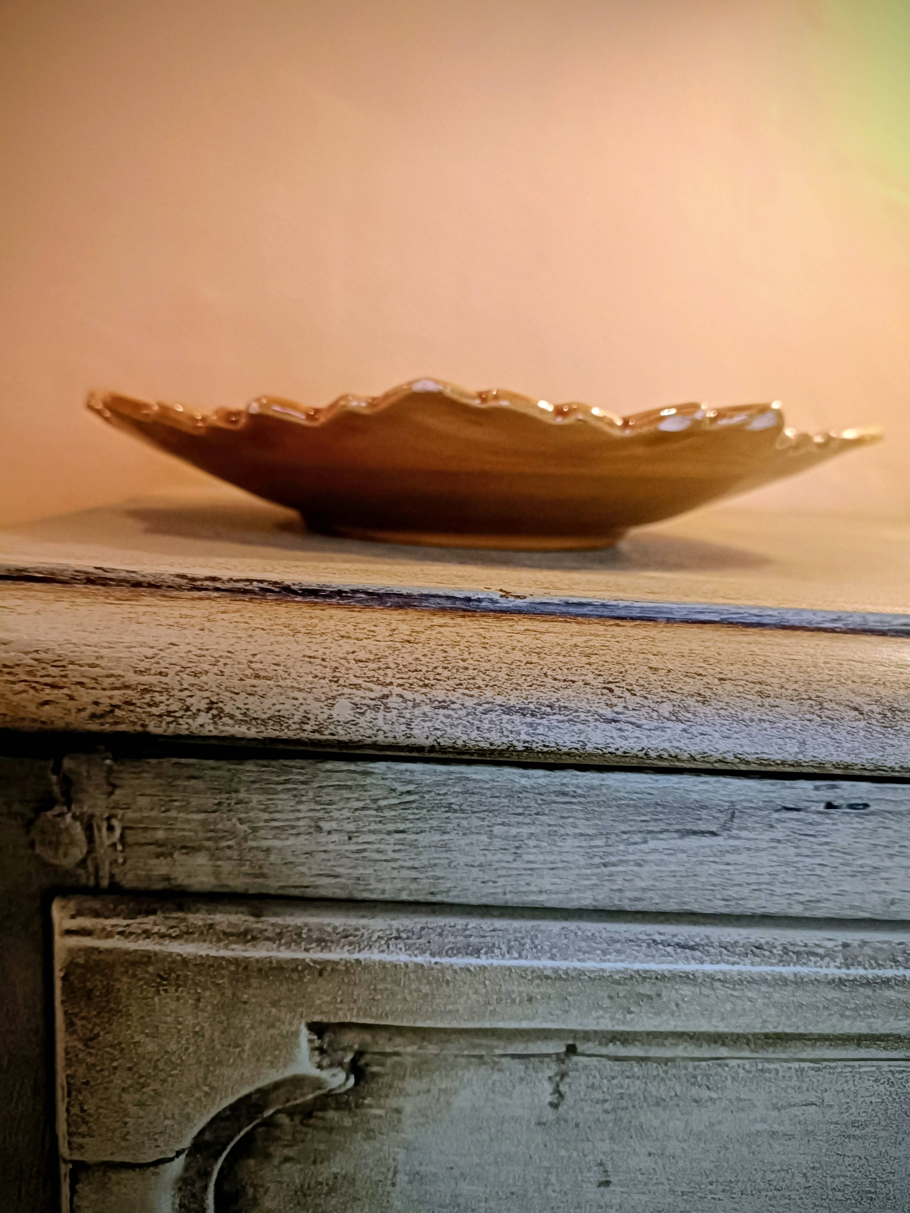 Plate barbotine vine leaf