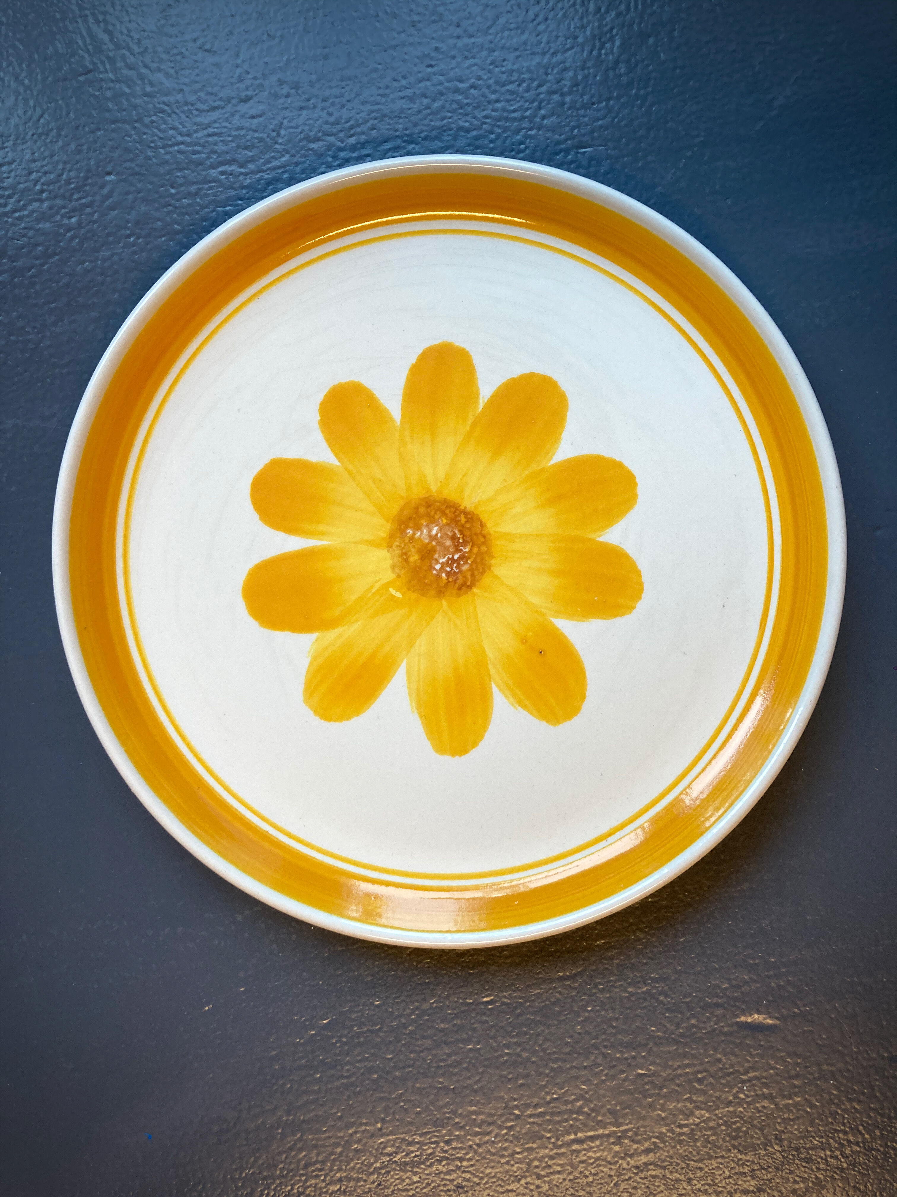 Seven vintage flower power plates