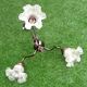 1970s chandelier with 3 light arms and frilled tulips