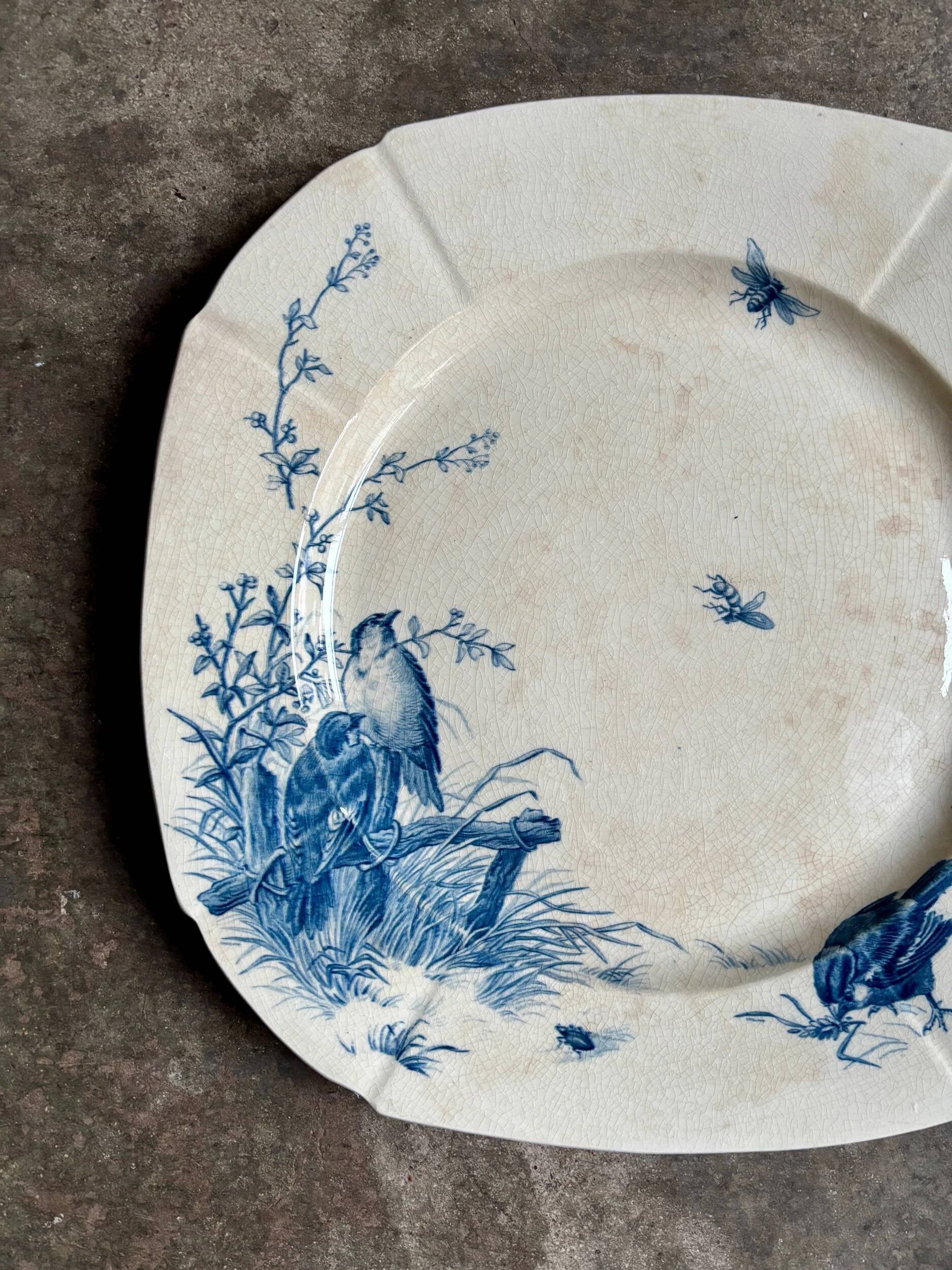 Square flat plate Gien in blue ironstone, service "Birds" around 1870.