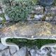 Wall console in painted, carved and molded wood in Louis XV style.
