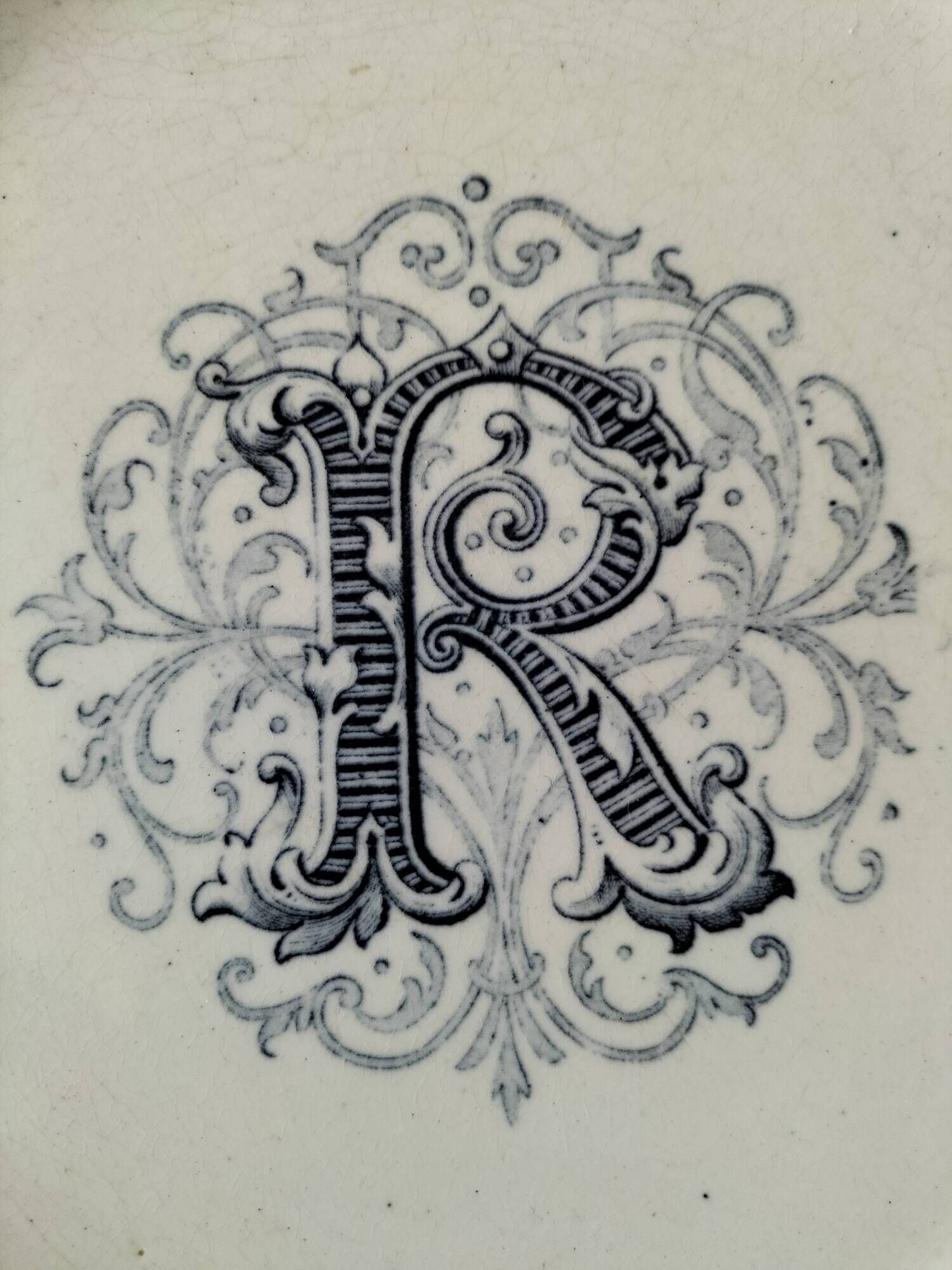 Pair of ironstone plates – Salins François Ier & KG