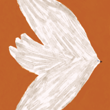 Affiche imprimée en qualité giclée avec illustration d'oiseau blanc en vol - 30x40cm