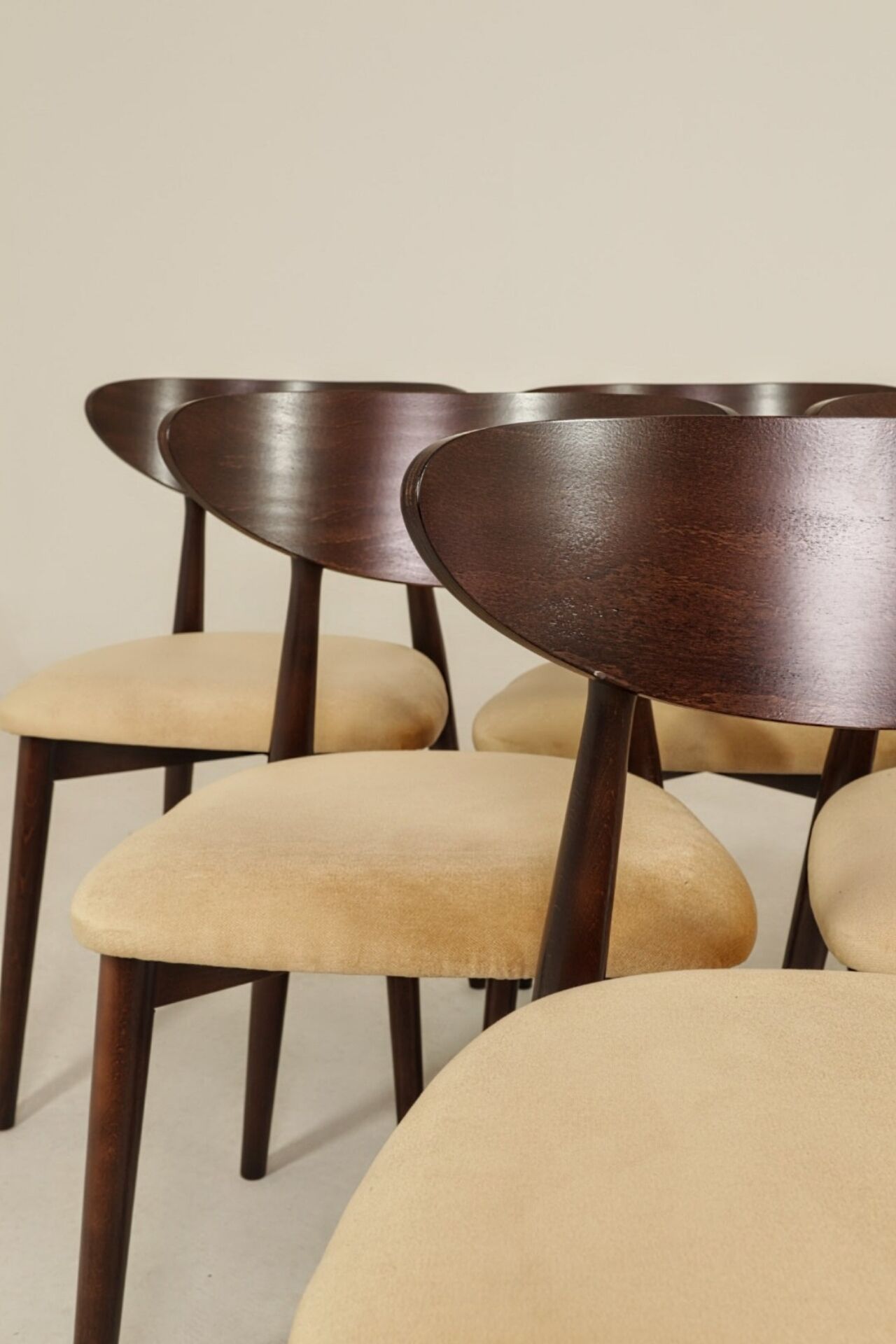 Modern Set of 6 Dining Chairs, Beige Pearl Velvet and Dark beech wood